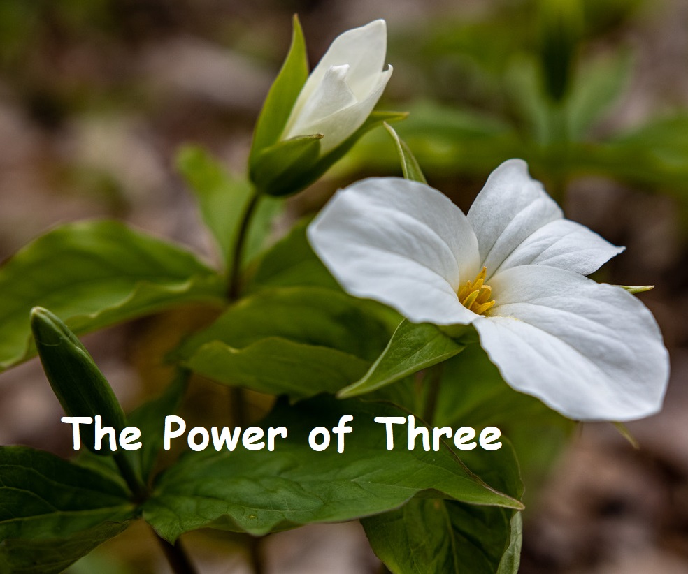 The Power of Three